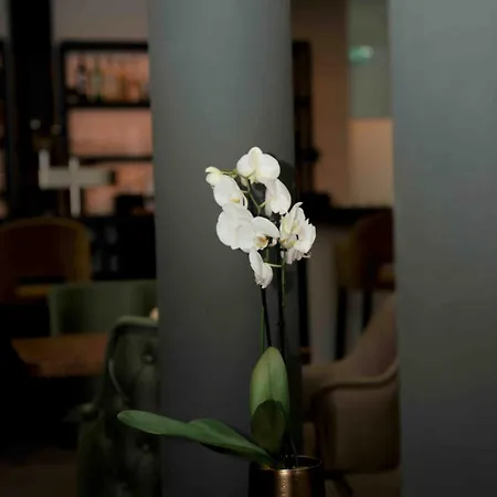 Hotel & Lounge Adult Only Goslar