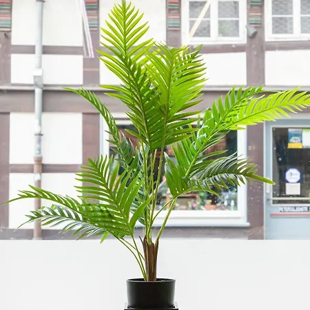 & Lounge Adult Only فندق جوسلار