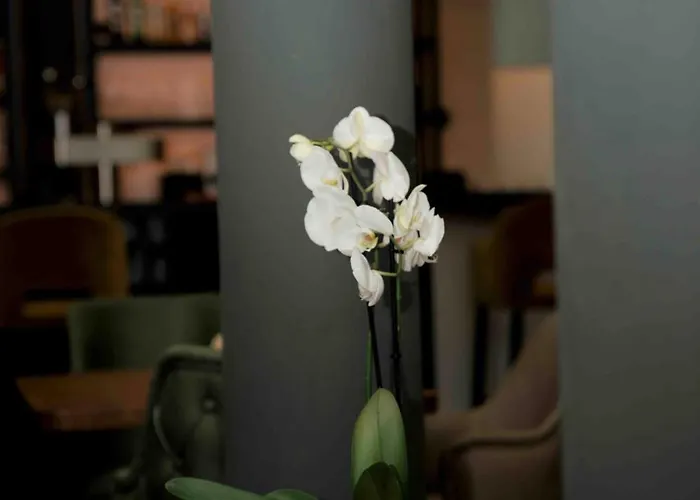 Hotel & Lounge Adult Only Goslar