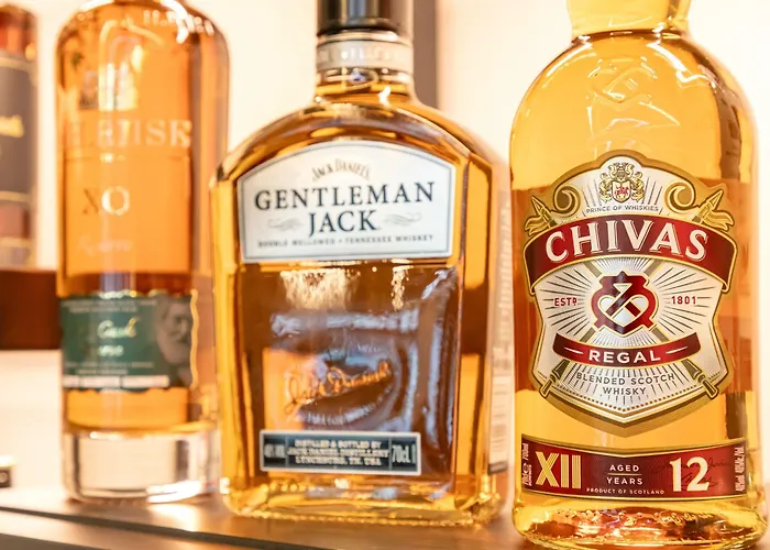 酒店 & Lounge Adult Only